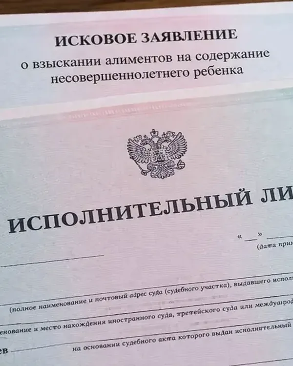 Исковое заявление о взыскании алиментов на ребёнка и исполнительный лист